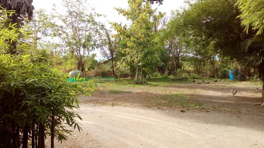 Suratthani Airport Campsite Surat Thani Luaran gambar